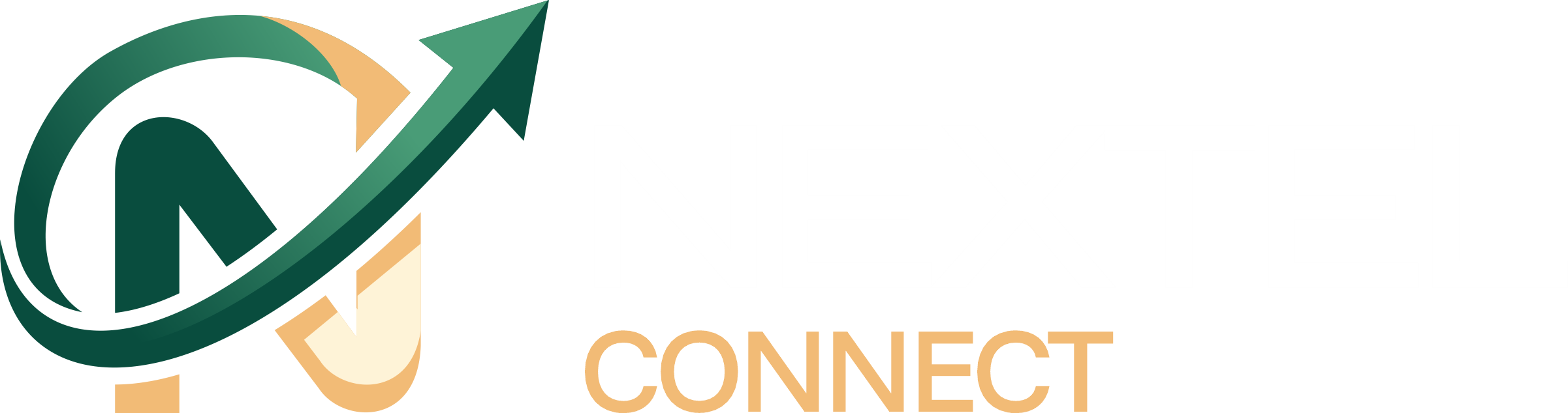 Nextel Connect Logo